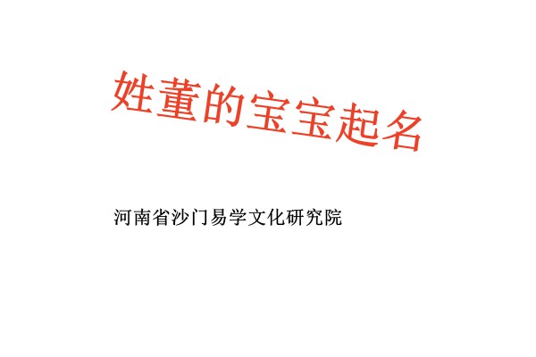 贡觉姓董的宝宝起名高分名字